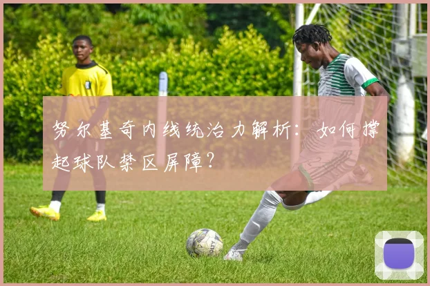 努尔基奇内线统治力解析：如何撑起球队禁区屏障？