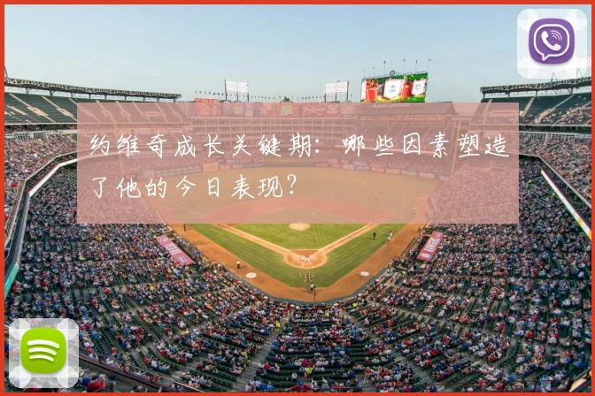 约维奇成长关键期：哪些因素塑造了他的今日表现？