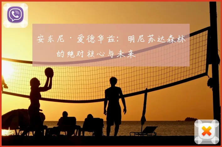 安东尼·爱德华兹：明尼苏达森林狼的绝对核心与未来