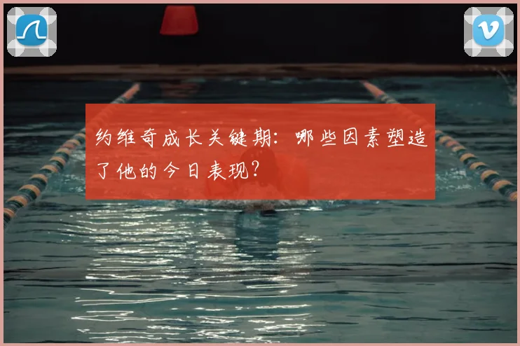 约维奇成长关键期：哪些因素塑造了他的今日表现？