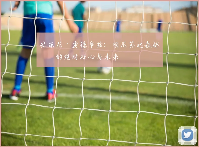 安东尼·爱德华兹：明尼苏达森林狼的绝对核心与未来